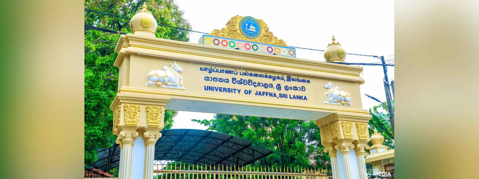 යාපනය සරසවියෙන් ගිනි අවි සහ උණ්ඩ තොගයක් සොයාගනී